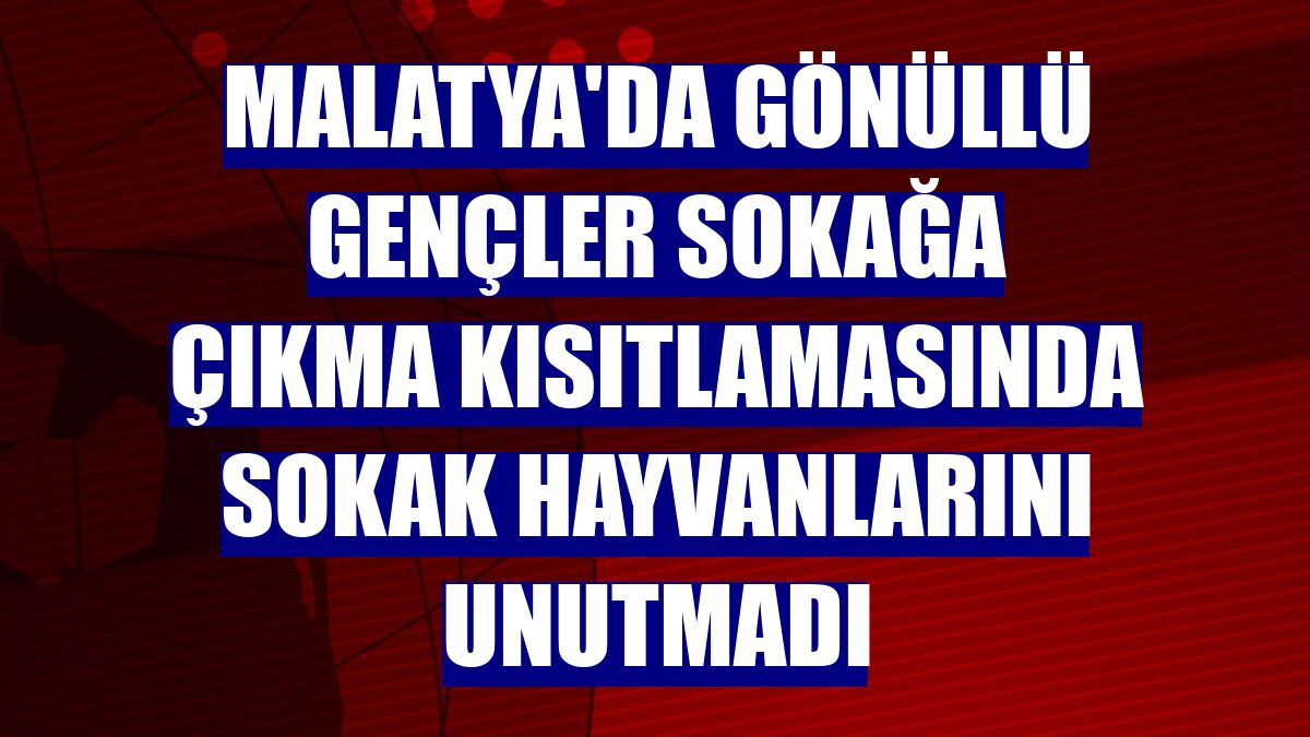 Malatya'da gönüllü gençler sokağa çıkma kısıtlamasında sokak hayvanlarını unutmadı