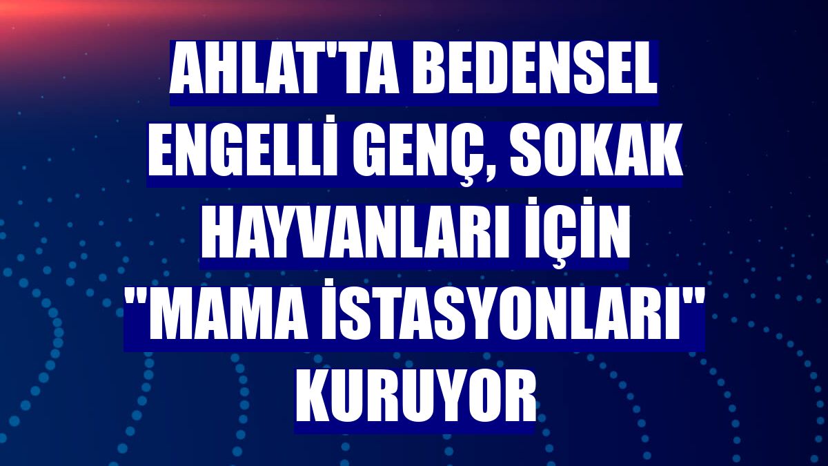 Ahlat'ta bedensel engelli genç, sokak hayvanları için "mama istasyonları" kuruyor