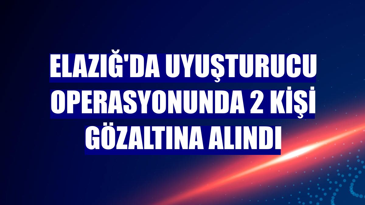 Elazığ'da uyuşturucu operasyonunda 2 kişi gözaltına alındı