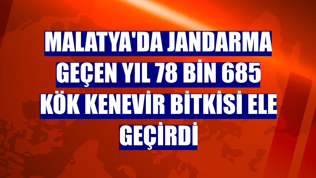 Malatya'da jandarma geçen yıl 78 bin 685 kök kenevir bitkisi ele geçirdi
