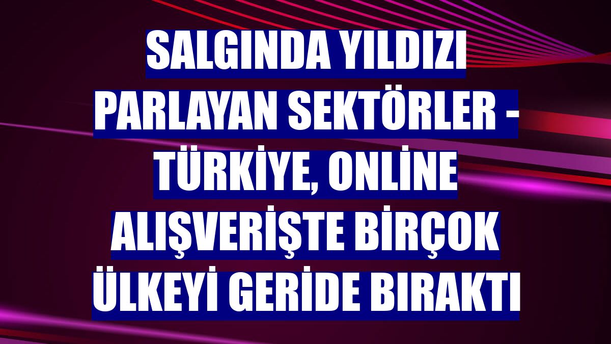 SALGINDA YILDIZI PARLAYAN SEKTÖRLER - Türkiye, online alışverişte birçok ülkeyi geride bıraktı