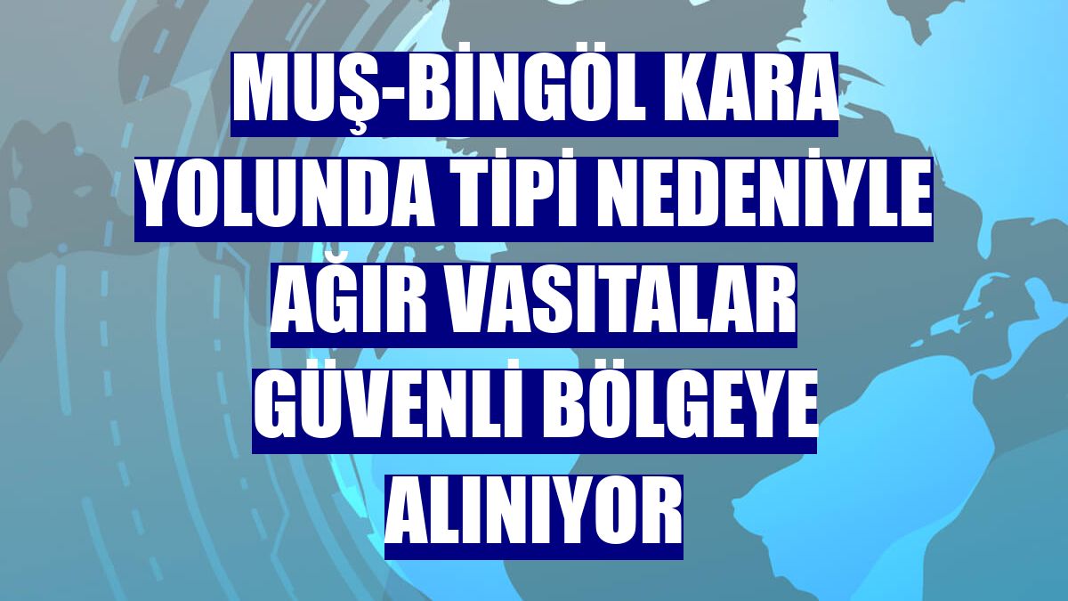 Muş-Bingöl kara yolunda tipi nedeniyle ağır vasıtalar güvenli bölgeye alınıyor