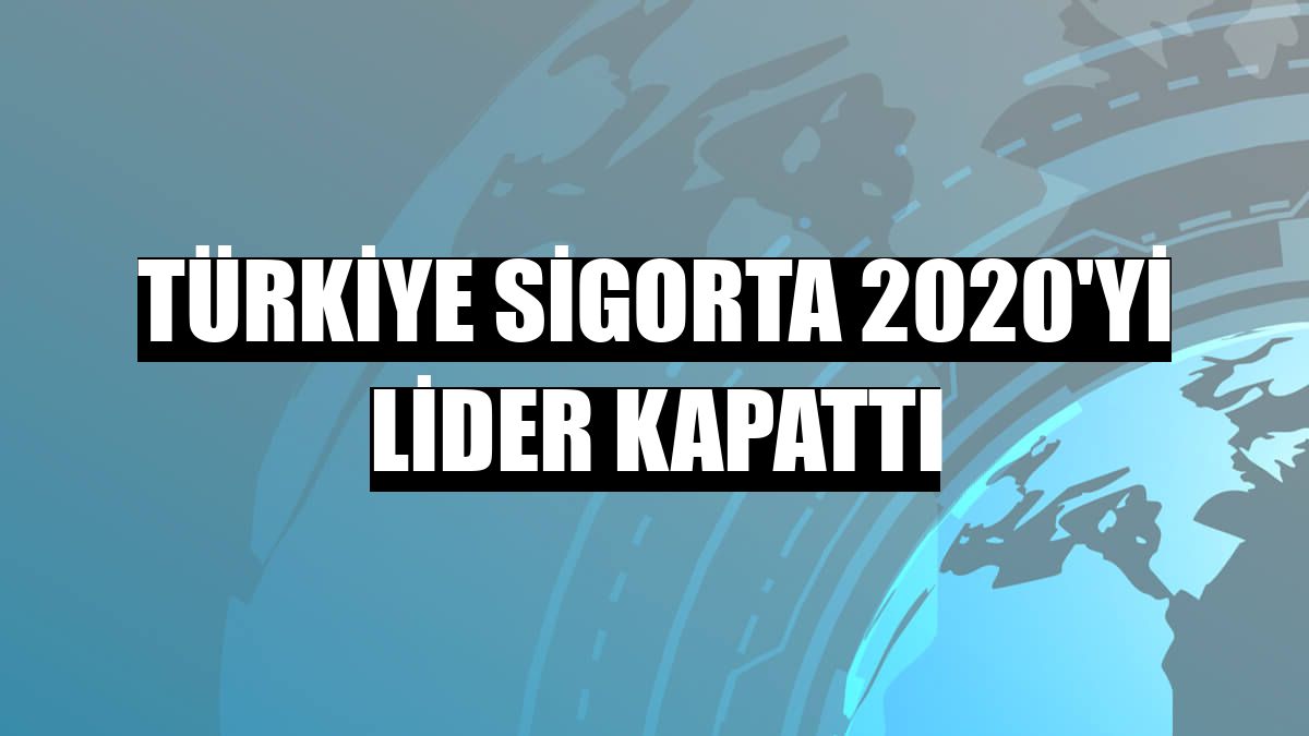 Türkiye Sigorta 2020'yi lider kapattı