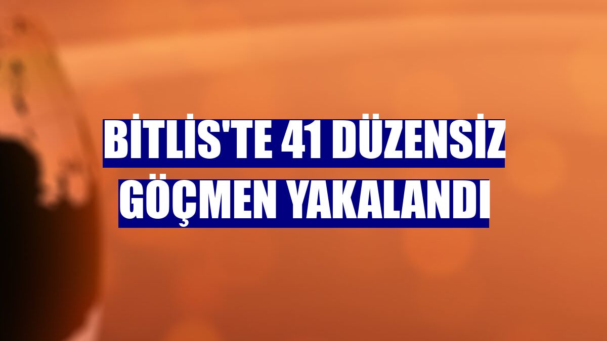 Bitlis'te 41 düzensiz göçmen yakalandı