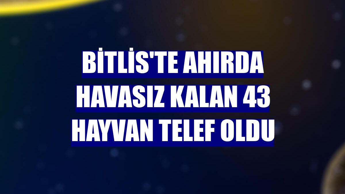 Bitlis'te ahırda havasız kalan 43 hayvan telef oldu
