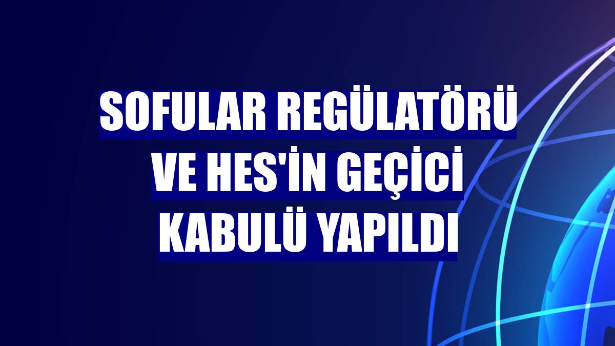 Sofular Regülatörü ve HES'in geçici kabulü yapıldı