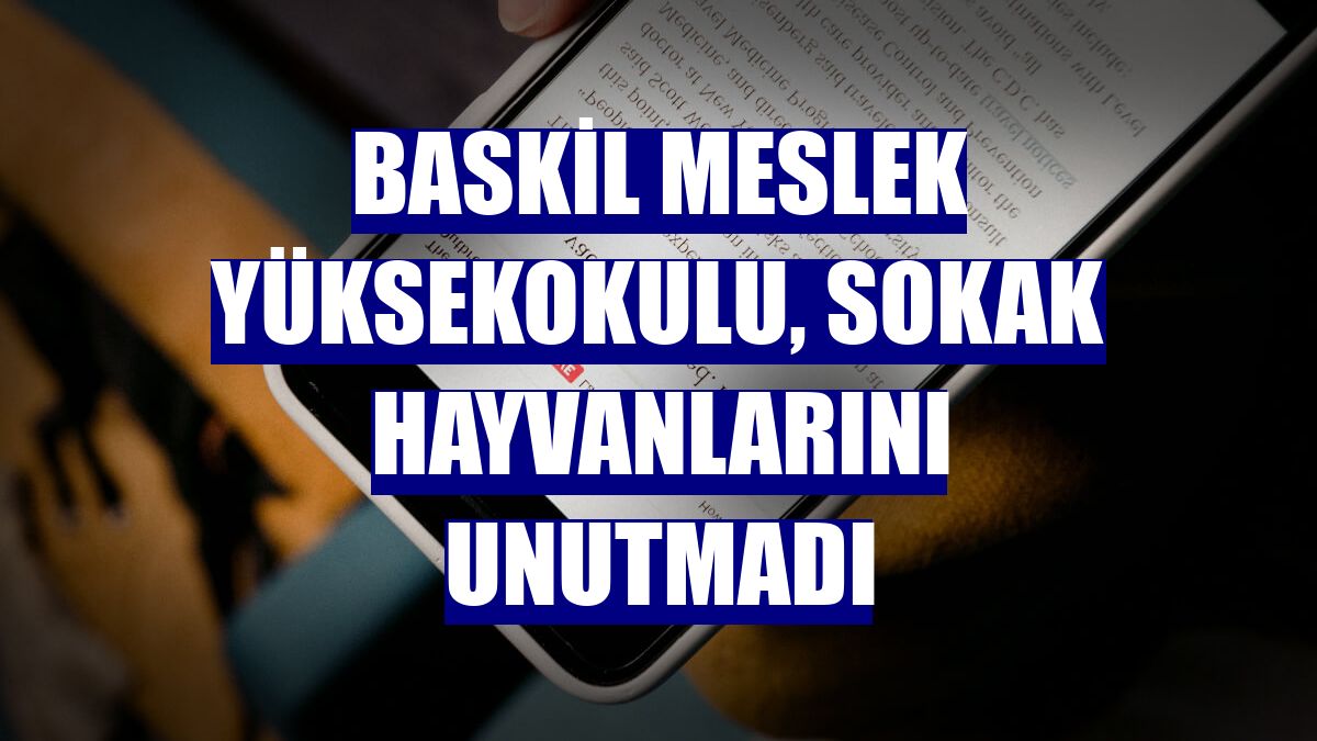 Baskil Meslek Yüksekokulu, sokak hayvanlarını unutmadı