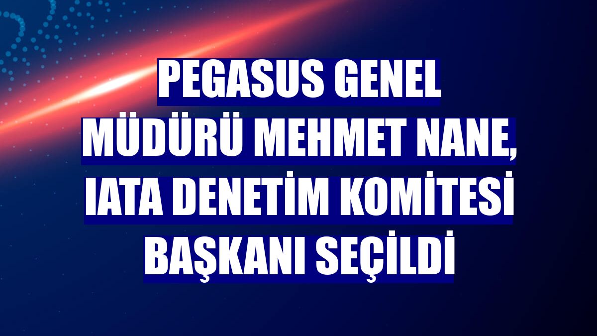Pegasus Genel Müdürü Mehmet Nane, IATA Denetim Komitesi Başkanı seçildi