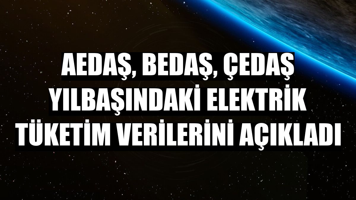 AEDAŞ, BEDAŞ, ÇEDAŞ yılbaşındaki elektrik tüketim verilerini açıkladı