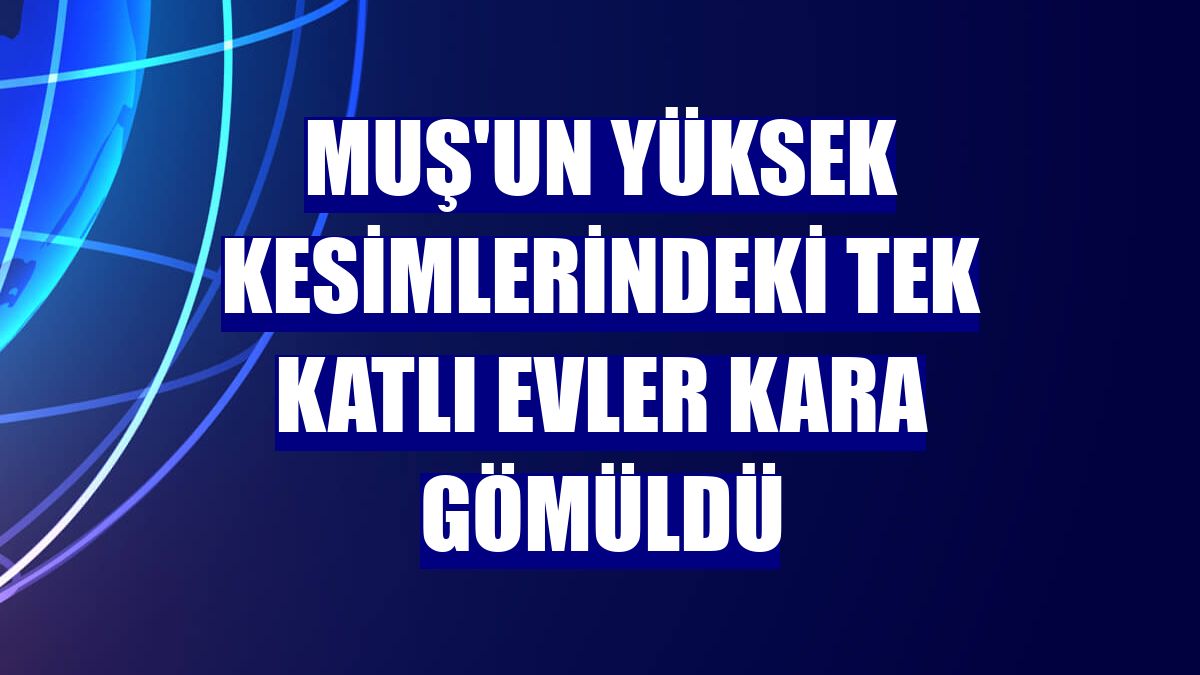 Muş'un yüksek kesimlerindeki tek katlı evler kara gömüldü