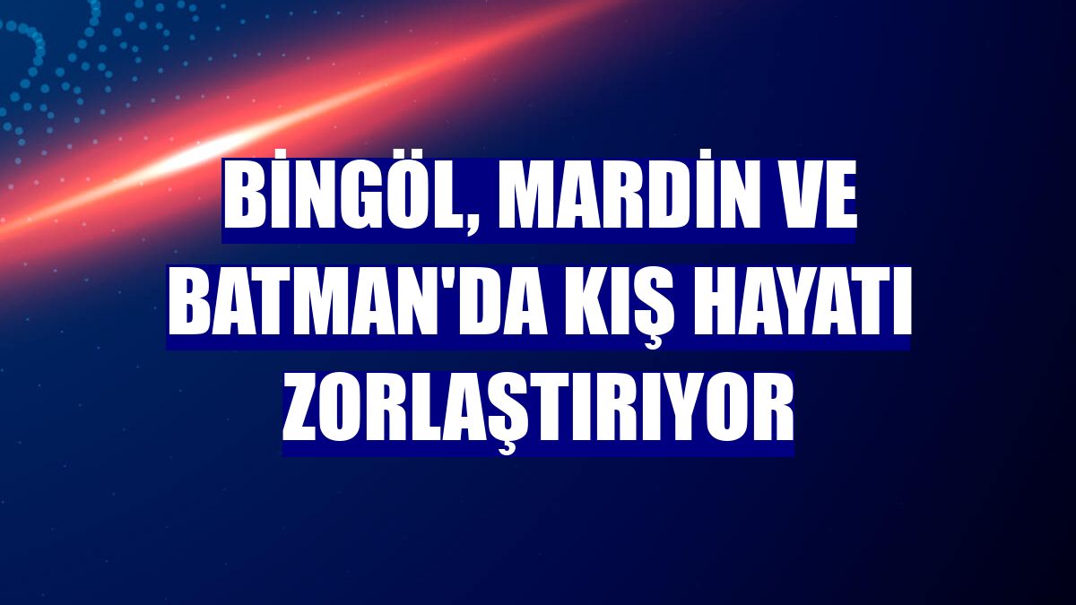 Bingöl, Mardin ve Batman'da kış hayatı zorlaştırıyor
