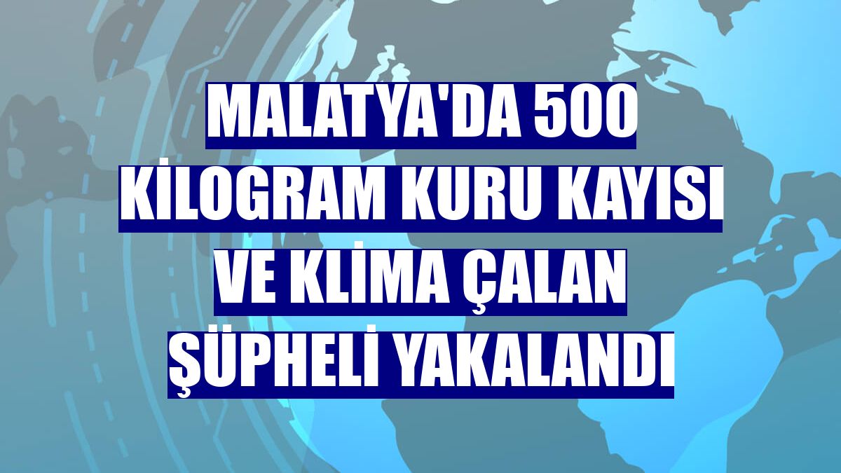 Malatya'da 500 kilogram kuru kayısı ve klima çalan şüpheli yakalandı