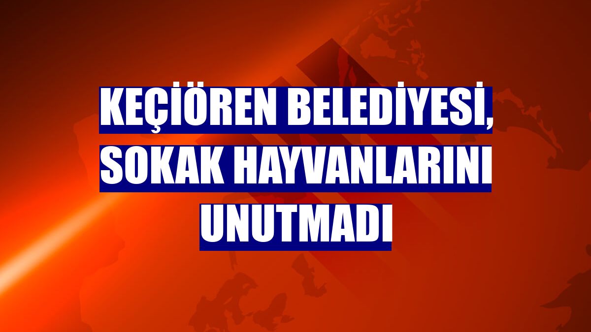Keçiören Belediyesi, sokak hayvanlarını unutmadı