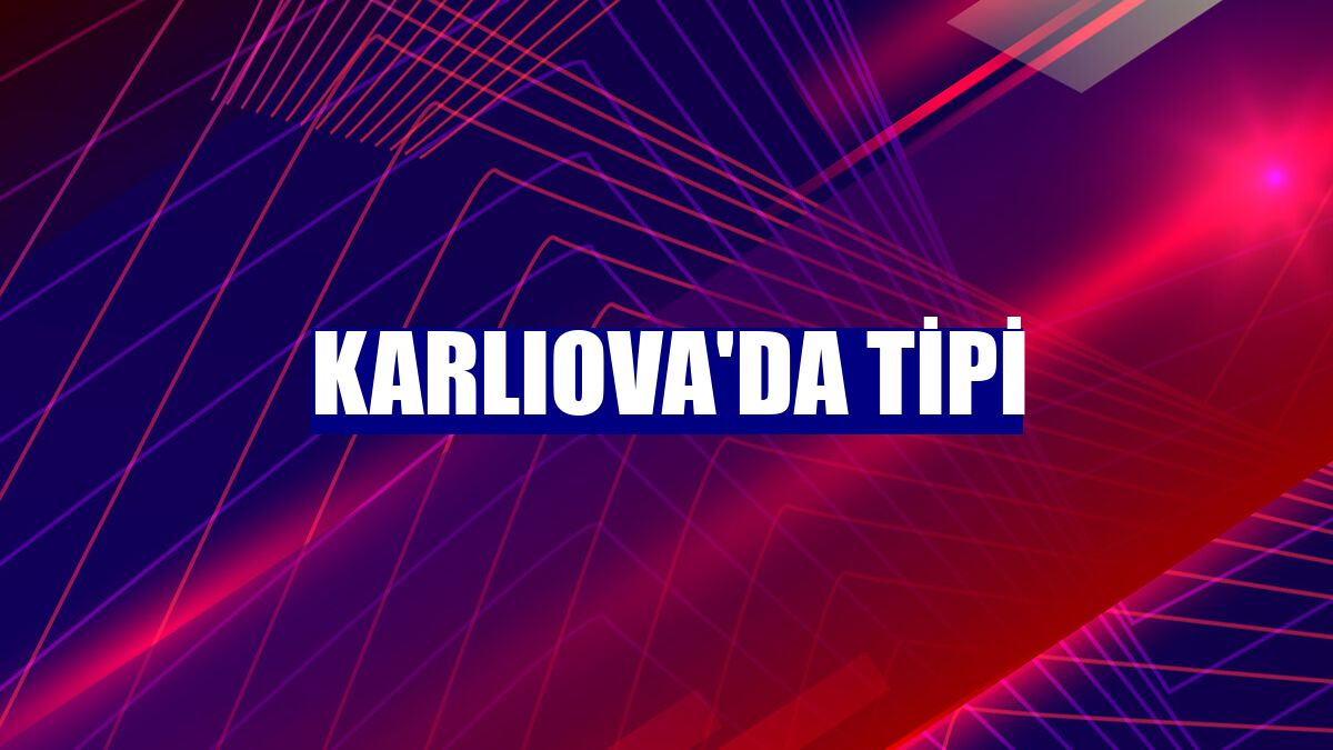 Karlıova'da tipi