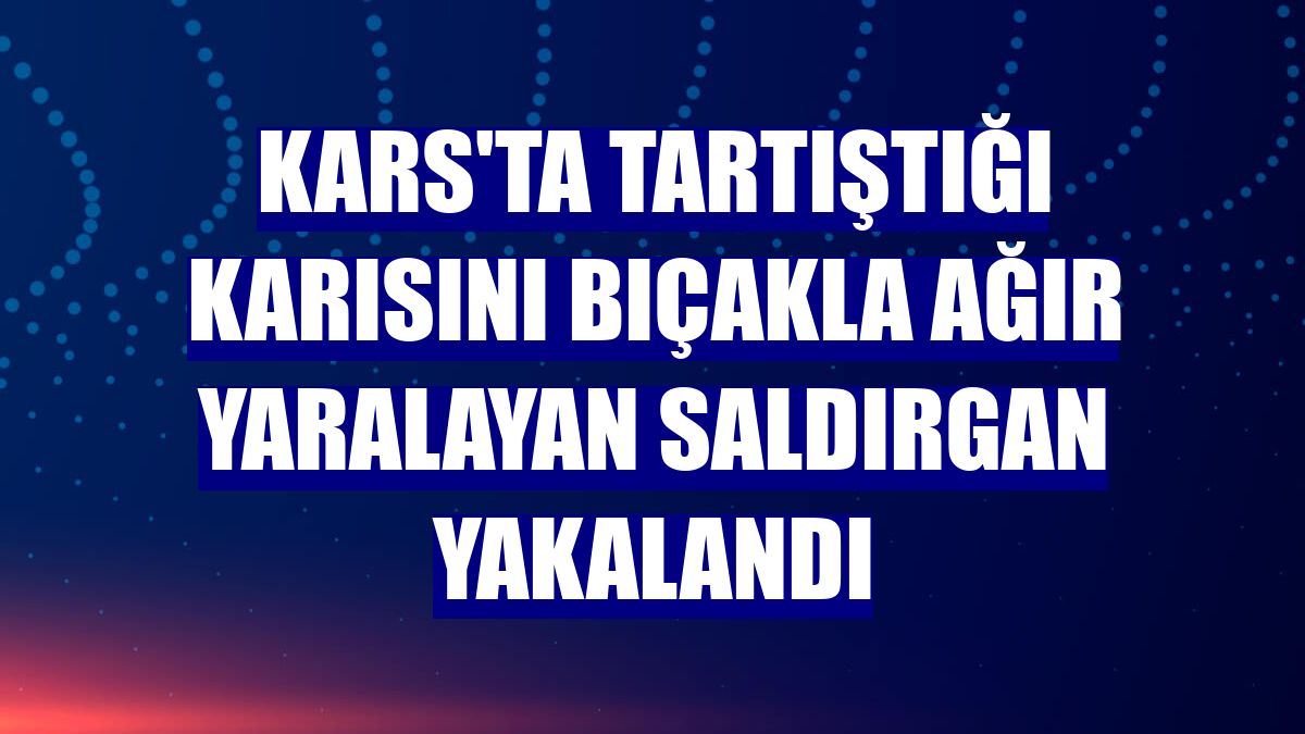 Kars'ta tartıştığı karısını bıçakla ağır yaralayan saldırgan yakalandı