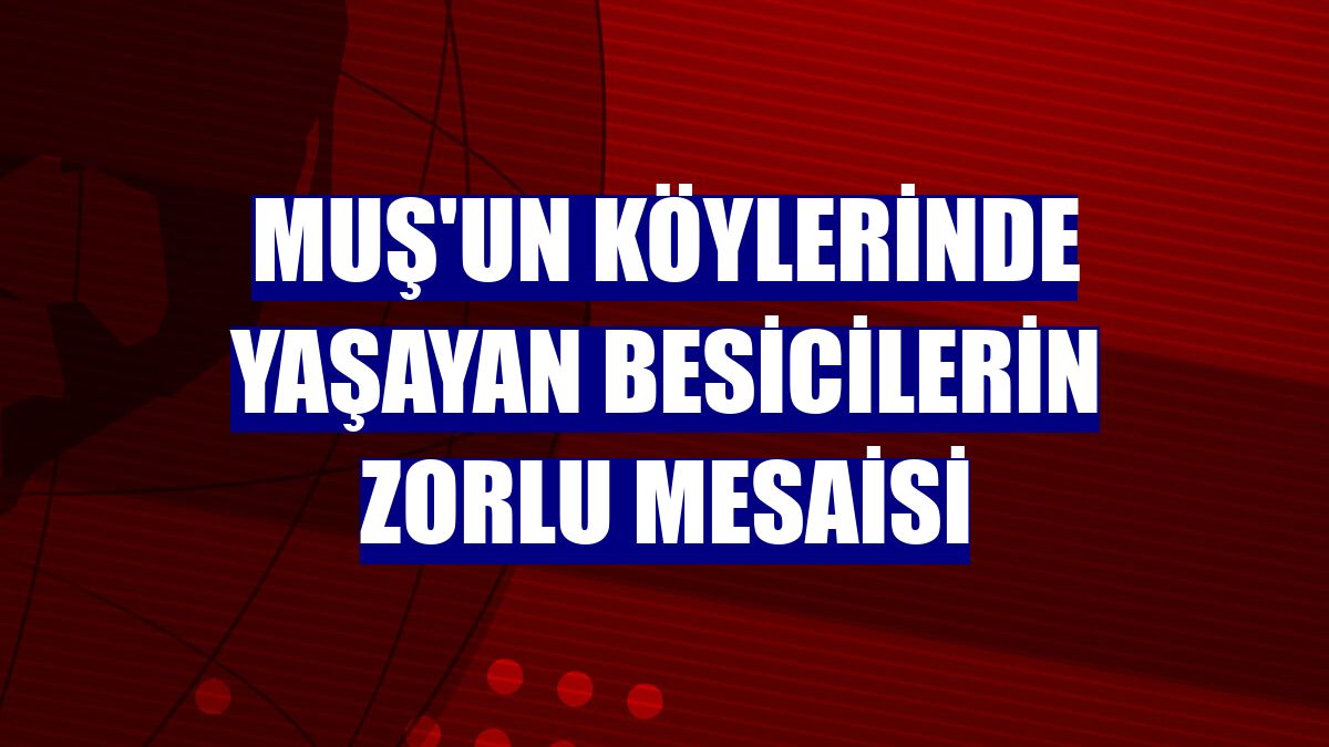 Muş'un köylerinde yaşayan besicilerin zorlu mesaisi