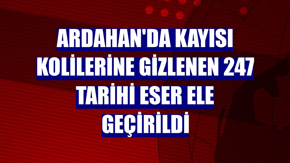Ardahan'da kayısı kolilerine gizlenen 247 tarihi eser ele geçirildi