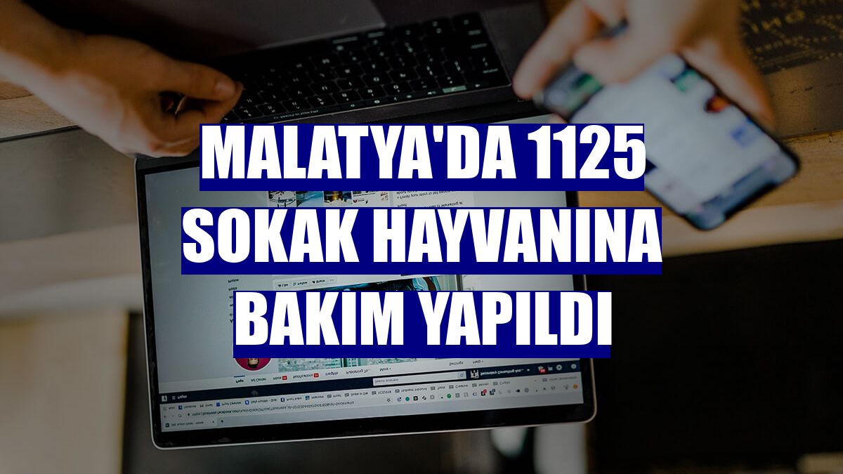 Malatya'da 1125 sokak hayvanına bakım yapıldı