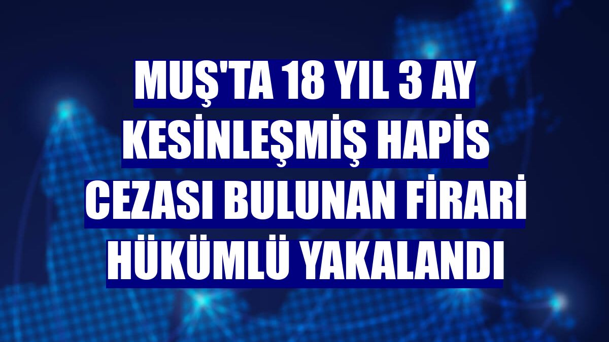 Muş'ta 18 yıl 3 ay kesinleşmiş hapis cezası bulunan firari hükümlü yakalandı