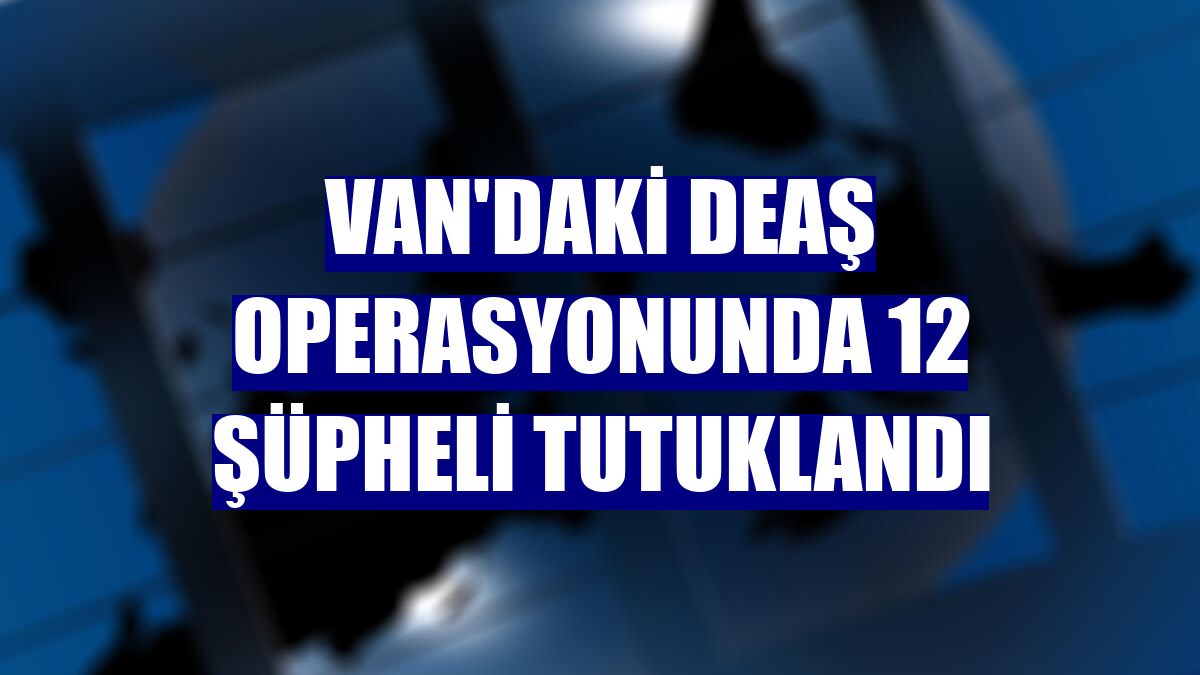 Van'daki DEAŞ operasyonunda 12 şüpheli tutuklandı