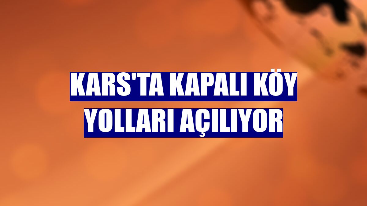 Kars'ta kapalı köy yolları açılıyor