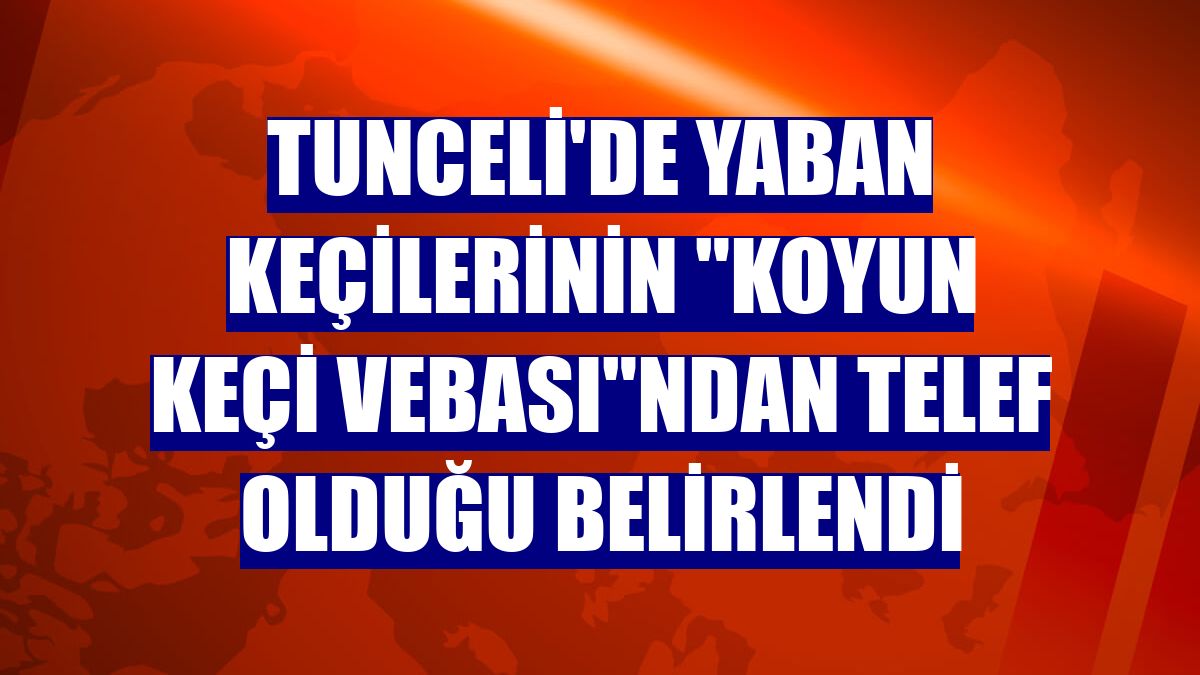 Tunceli'de yaban keçilerinin "koyun keçi vebası"ndan telef olduğu belirlendi