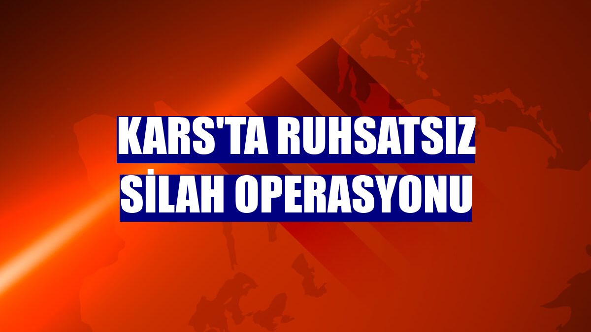 Kars'ta ruhsatsız silah operasyonu