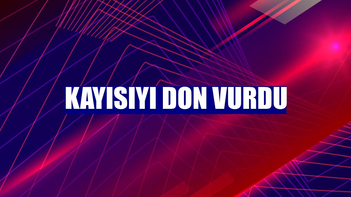 Kayısıyı don vurdu