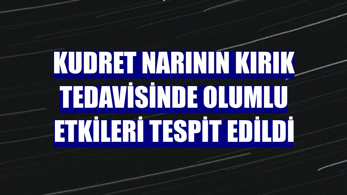 Kudret narının kırık tedavisinde olumlu etkileri tespit edildi