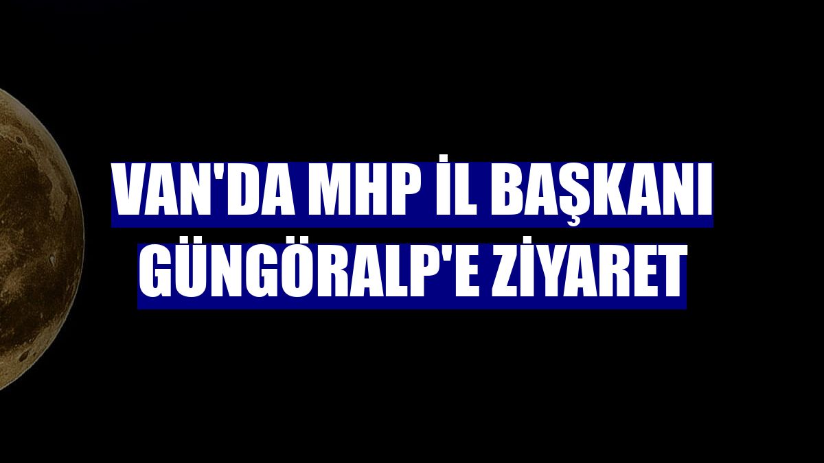 Van'da MHP İl Başkanı Güngöralp'e ziyaret