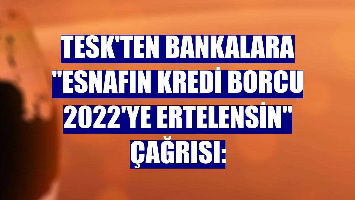 TESK'ten bankalara "Esnafın kredi borcu 2022'ye ertelensin" çağrısı: