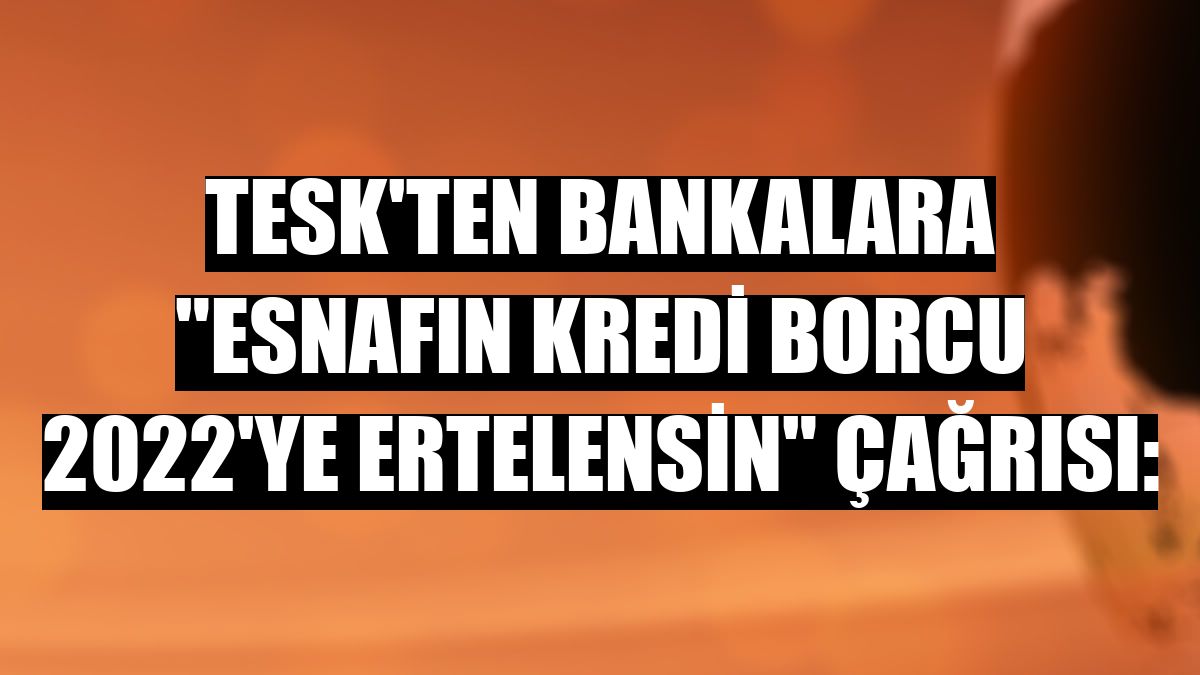 TESK'ten bankalara 'Esnafın kredi borcu 2022'ye ertelensin' çağrısı: