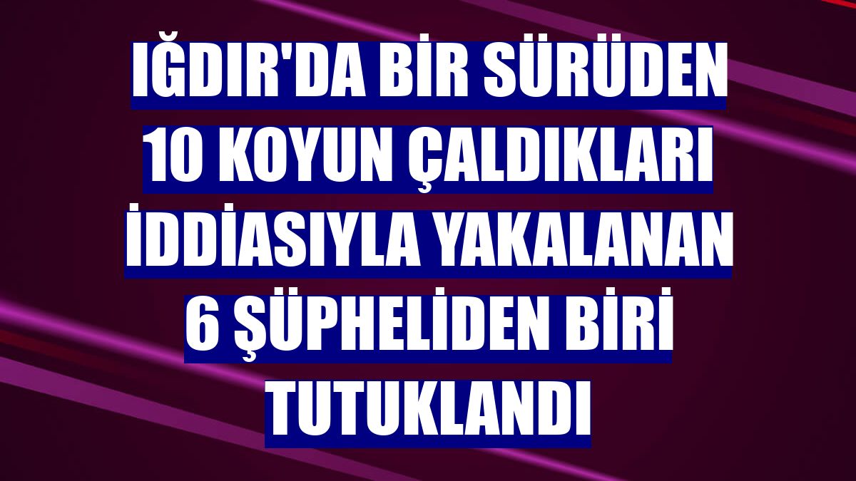 Iğdır'da bir sürüden 10 koyun çaldıkları iddiasıyla yakalanan 6 şüpheliden biri tutuklandı