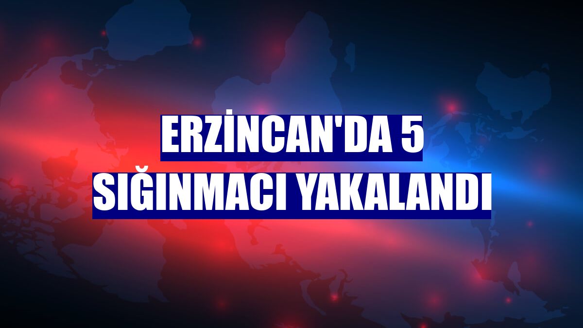Erzincan'da 5 sığınmacı yakalandı