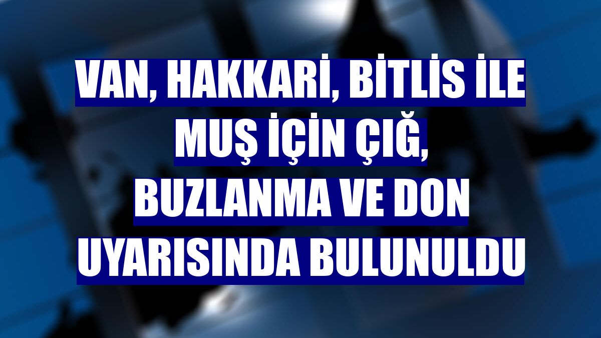 Van, Hakkari, Bitlis ile Muş için çığ, buzlanma ve don uyarısında bulunuldu