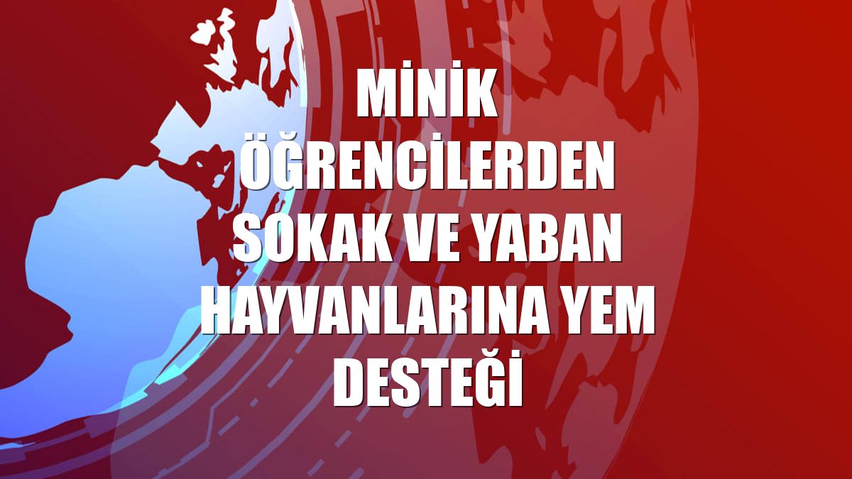 Minik öğrencilerden sokak ve yaban hayvanlarına yem desteği