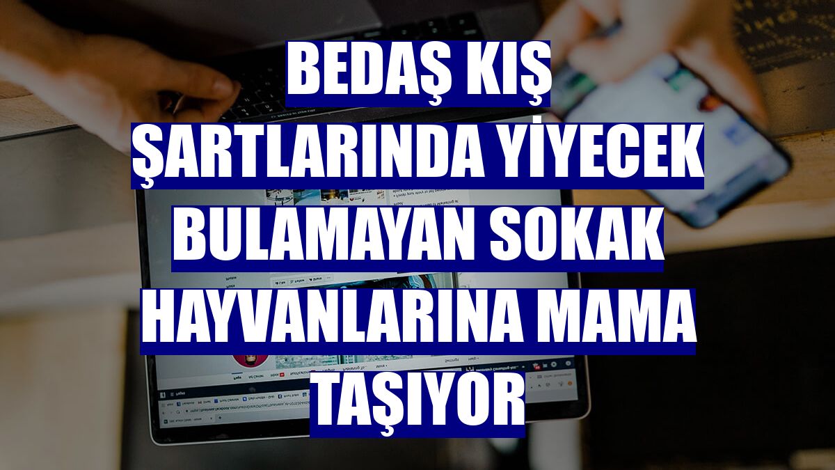 BEDAŞ kış şartlarında yiyecek bulamayan sokak hayvanlarına mama taşıyor