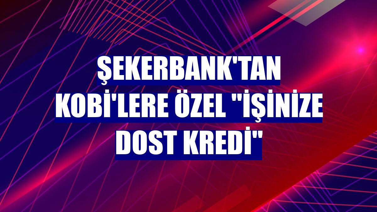 Şekerbank'tan KOBİ'lere özel "İşinize Dost Kredi"