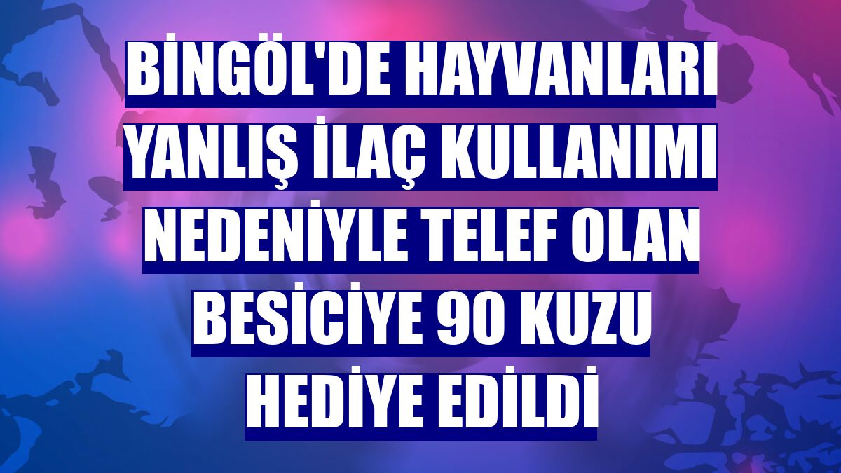 Bingöl'de hayvanları yanlış ilaç kullanımı nedeniyle telef olan besiciye 90 kuzu hediye edildi