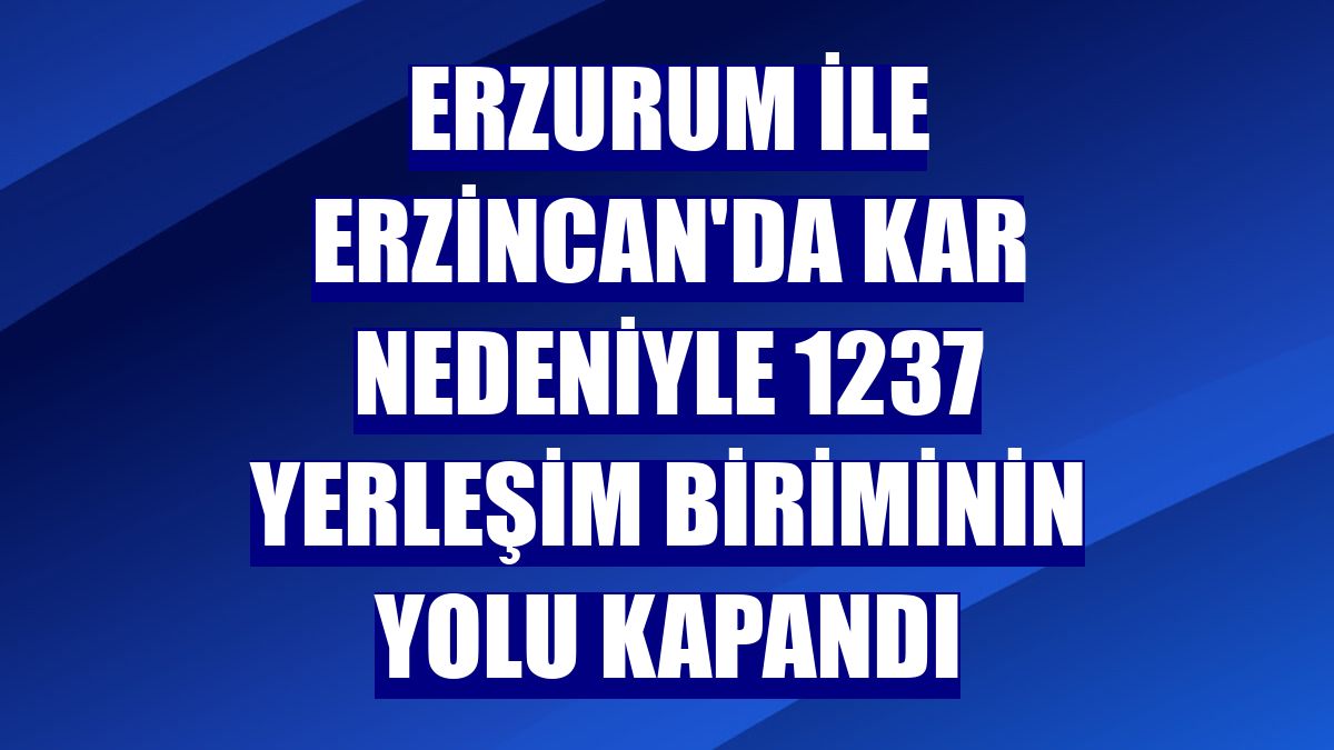 Erzurum ile Erzincan'da kar nedeniyle 1237 yerleşim biriminin yolu kapandı