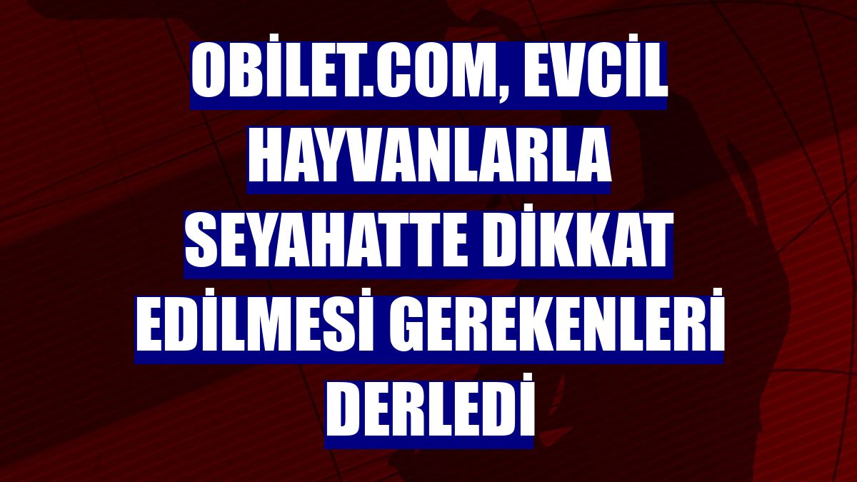 obilet.com, evcil hayvanlarla seyahatte dikkat edilmesi gerekenleri derledi
