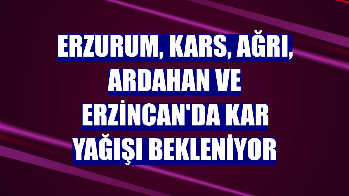 Erzurum, Kars, Ağrı, Ardahan ve Erzincan'da kar yağışı bekleniyor