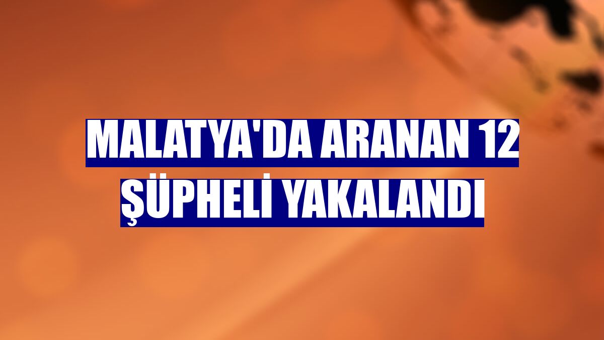 Malatya'da aranan 12 şüpheli yakalandı