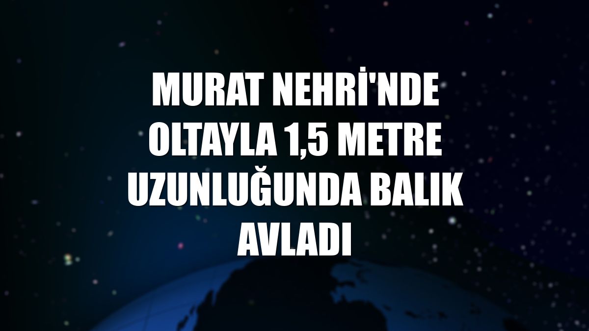 Murat Nehri'nde oltayla 1,5 metre uzunluğunda balık avladı