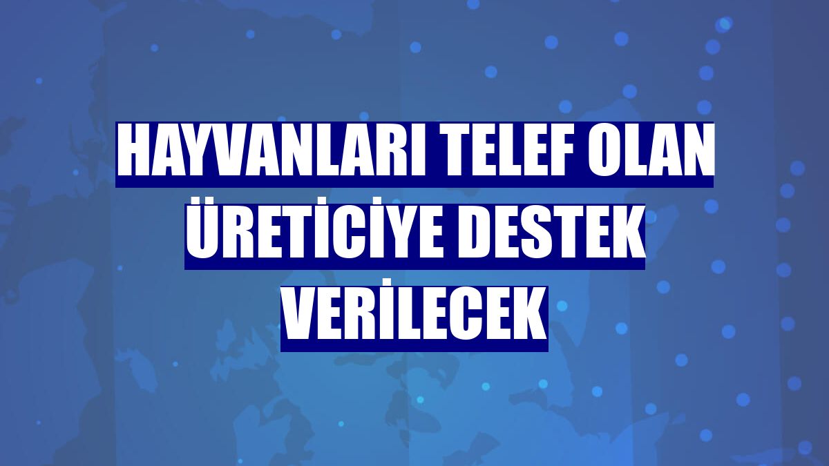 Hayvanları telef olan üreticiye destek verilecek