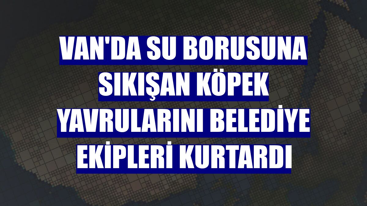 Van'da su borusuna sıkışan köpek yavrularını belediye ekipleri kurtardı