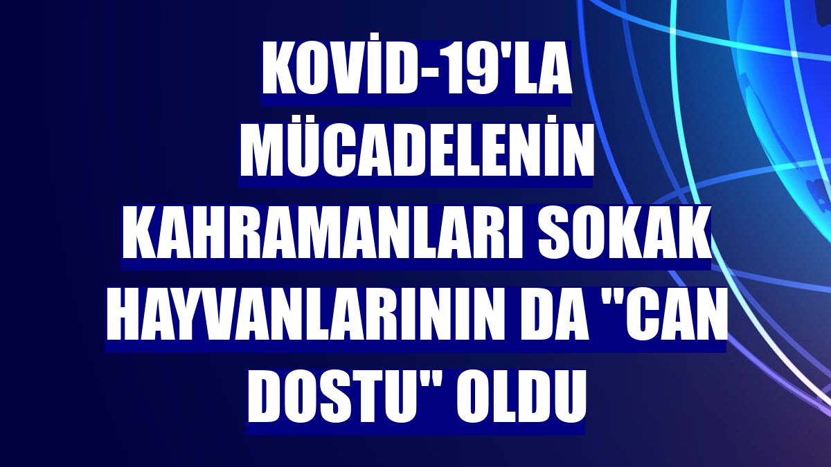 Kovid-19'la mücadelenin kahramanları sokak hayvanlarının da "can dostu" oldu
