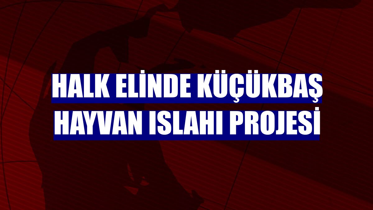 Halk Elinde Küçükbaş Hayvan Islahı Projesi