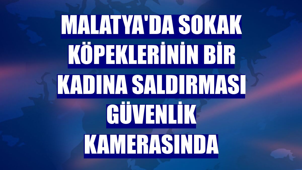 Malatya'da sokak köpeklerinin bir kadına saldırması güvenlik kamerasında