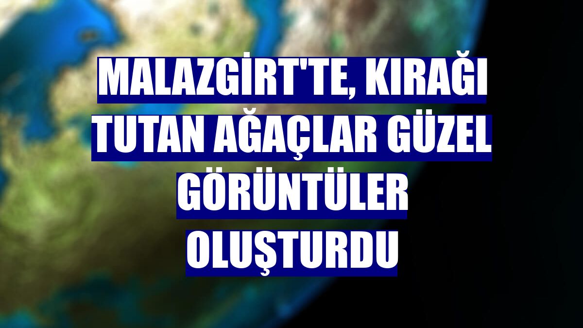 Malazgirt'te, kırağı tutan ağaçlar güzel görüntüler oluşturdu